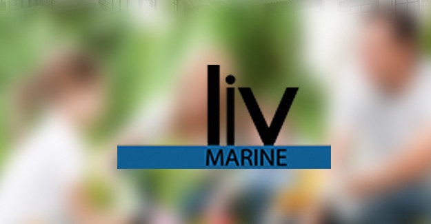 Liv Marine projesi / İstanbul Avrupa / Beylikdüzü