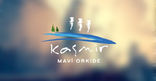 Kaşmir Mavi Orkide projesi fiyat!
