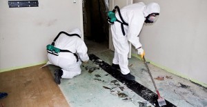 Maltepe Belediyesi 1,5 yıl içinde 1022 binada asbest denetimi yaptı!